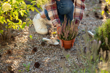 Close up picture of a woman planting flowers in the garden