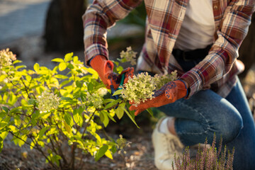 Close up picture of a woman planting flowers in the garden