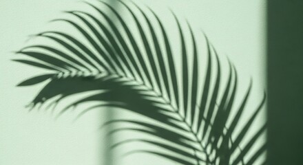 A tranquil scene showcases a delicate palm leaf shadow cast upon a textured green wall, evoking a sense of calm and natural simplicity, great for background use.