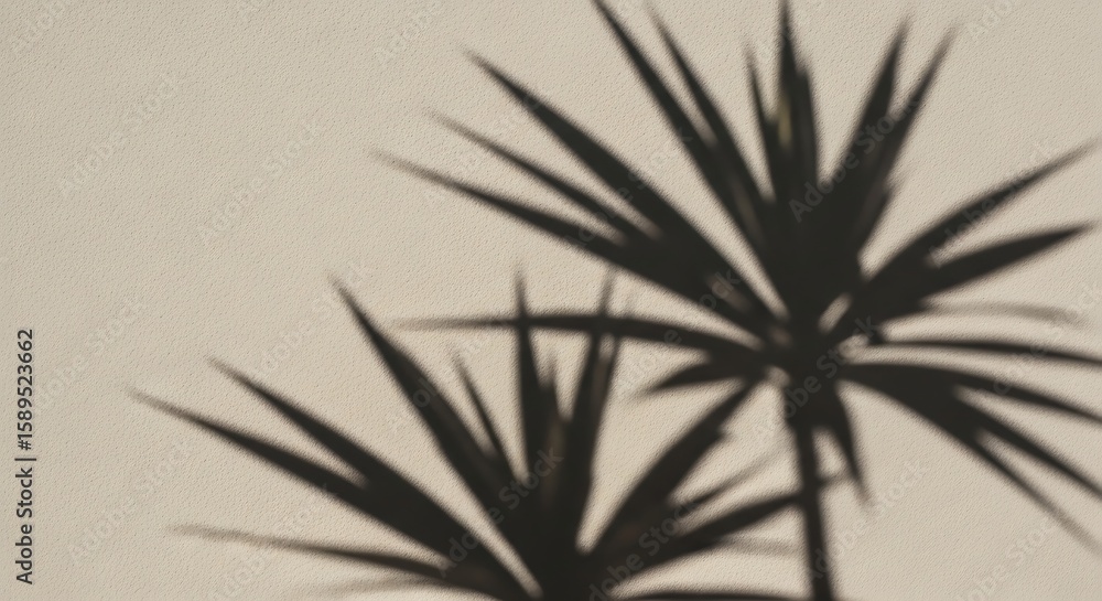 Aufkleber palm fronds cast a dark shadow on a textured beige wall, creating a tropical, minimalist background 