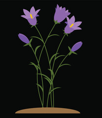 Spring Tulip, Bluebell and Narcissus. Flowers Background Vector