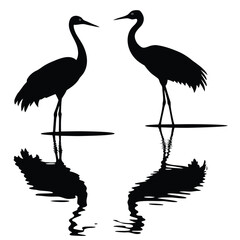 Black silhouettes of cranes standing in water with reflections bird