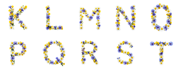 alphabet made from wildflowers part 2