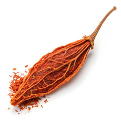 A single dried mace blade, vibrant and aromatic, offering warm, sweet-spicy flavor,