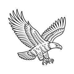 Fototapeta premium Majestic eagle in flight with outstretched wings and sharp talons bird flying