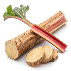 A single dried rhubarb root slice, earthy and slightly bitter, traditionally used