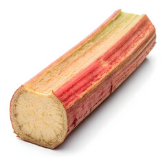 A single dried rhubarb root slice, earthy and slightly bitter, traditionally used