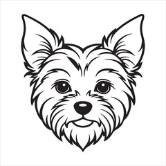 Yorkshire Terrier Dog: Bold, Confident, Beloved Charm