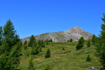Schöne Landschaft im Ultental in Südtirol 