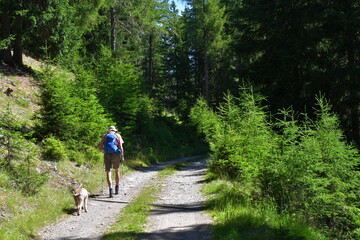 Obraz premium Mann und sein Lagotto Romagnolo Hund wandern im Ultental in Südtirol 
