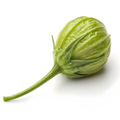 A single unprocessed caper bud, tangy and briny, commonly used