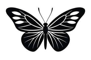butterfly vector icon