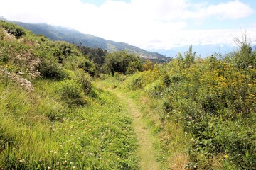 Springtime nature at Saywite archaeological zone in Abancay, Peruvian Andes.