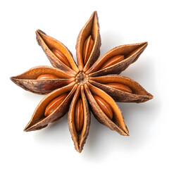 A dried star-shaped spice pod with a licorice-like flavor, commonly