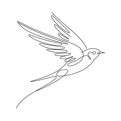 Fototapeta premium Elegant swallow in flight with flowing wings and tail bird flying