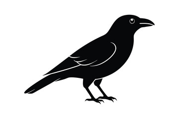 Obraz premium crow vector icon
