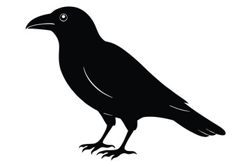 crow vector icon
