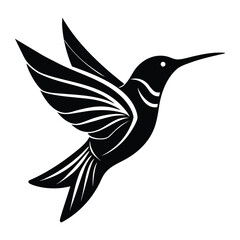 Flying tropical bird of paradise vector illustration with hummingbird, wing, and feather art design