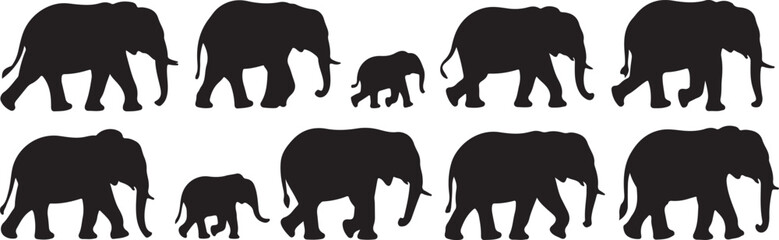 Black elephant silhouettes walking in a line elephants animal set, bundle, vector, isolated on white background, cutout, png, clipping path, transparent, image, download, 2025,2026