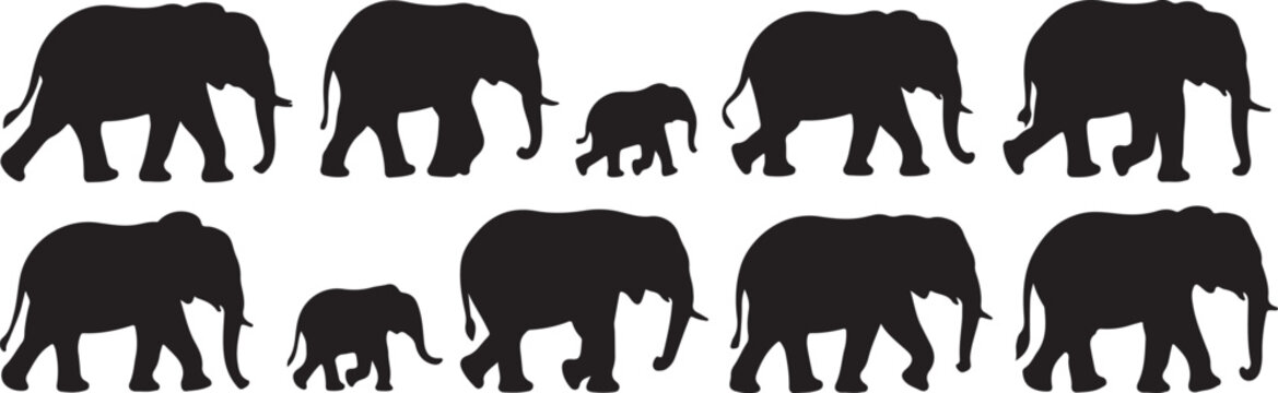 Black elephant silhouettes walking in a line elephants animal set, bundle, vector, isolated on white background, cutout, png, clipping path, transparent, image, download, 2025,2026