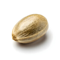 A single dried hemp seed, nutrient-rich and nutty-flavored, used in health foods, supplements,