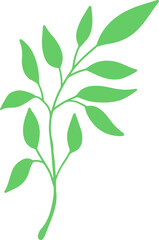 Green Leaf Illustration