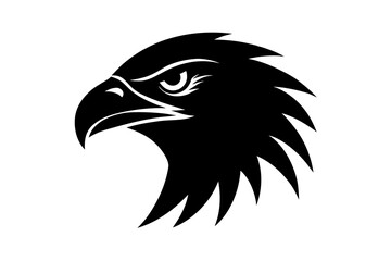 eagle head vector illustration