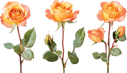 Obraz premium Image Processing Complete