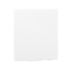 transparent paper with subtle uncoated texture and rough torn bottom edge, perfectly flat, isolated on a transparent background with ample copy space, even shadowless top-down lighting. Concept