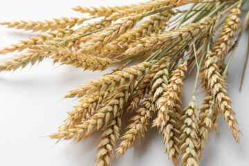 Many wheat spikes on white background, closeup