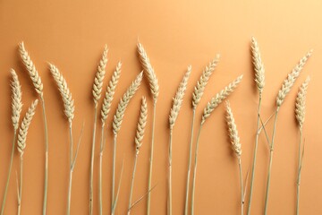 Many wheat spikes on golden background, flat lay