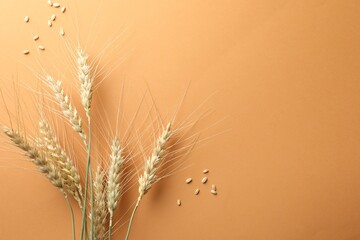 Many wheat spikes and seeds on golden background, flat lay. Space for text