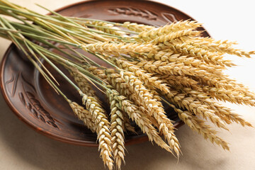 Many wheat spikes on paper background, closeup
