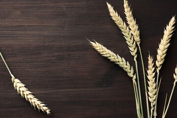 Many wheat spikes on dark wooden table, flat lay
