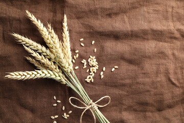 Bunch of wheat spikes and grains on brown cloth, flat lay. Space for text