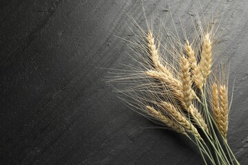 Wheat spikes on black table, flat lay. Space for text