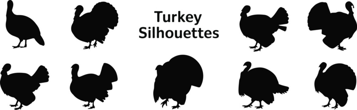 Various turkey silhouettes displayed against a white background bird fowl set, bundle, vector, isolated on white background, cutout, png, clipping path, transparent, image, download, 2025,2026,
