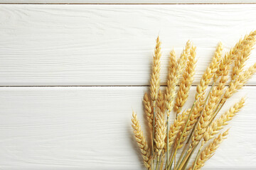 Many wheat spikes on white wooden table, flat lay. Space for text