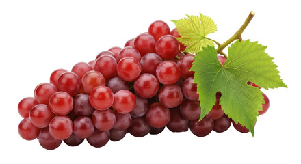 Isolated Red Grapes with Leaf