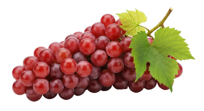 Isolated Red Grapes with Leaf