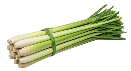 Isolated Lemongrass Stalks