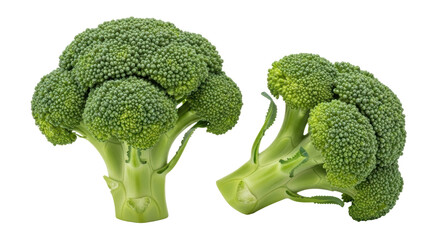 Isolated Two Broccoli Florets