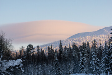 Snow-covered landscape featuring tall evergreen trees, a distant mountain range, and a soft pastel...