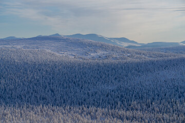Expansive winter landscape featuring snow-covered mountains and dense evergreen forests under a...