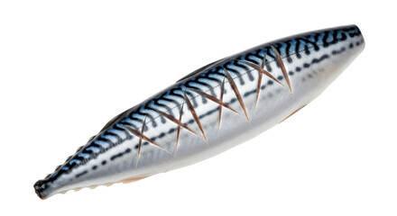 Isolated Mackerel