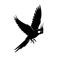 Fototapeta premium Vector art of black silhouette of a cockatiel in flight with wings spread