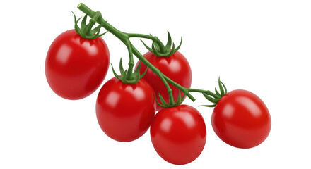 Isolated Vine Tomatoes