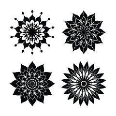 Beautiful Flower Mandala Bundle