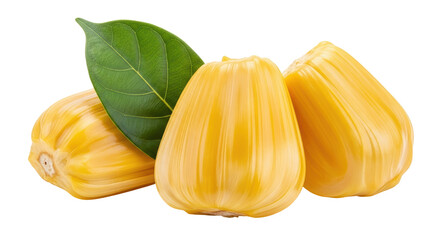 Isolated Jackfruits