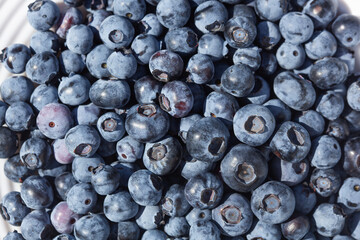 Ripe blueberries on a plate. Growing blueberries in the garden.